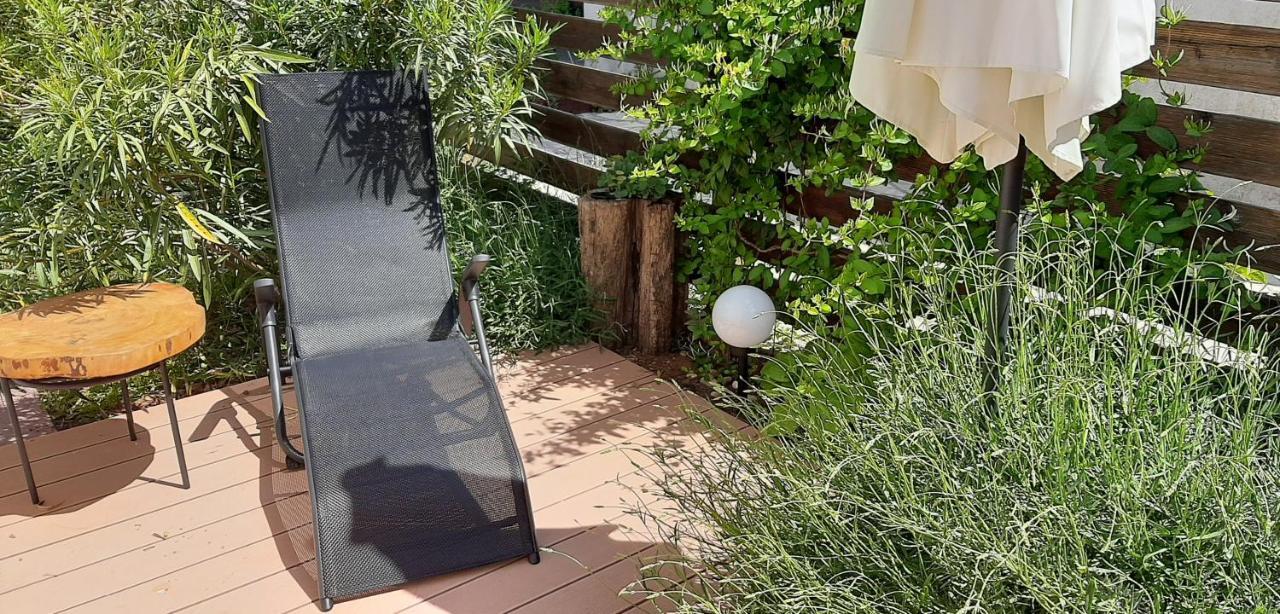 Lavandula لابين المظهر الخارجي الصورة